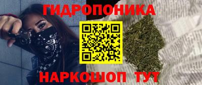 прущие крисы Гулькевичи