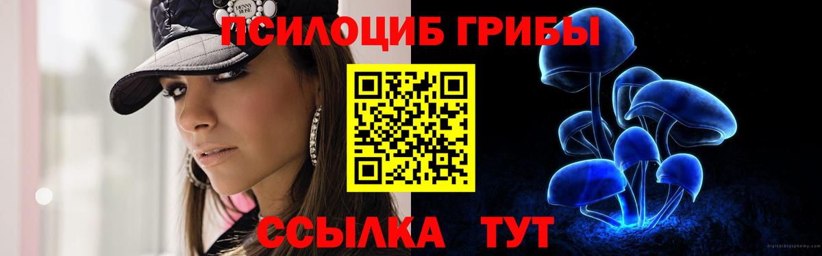 Галлюциногенные грибы Psilocybe Белорецк